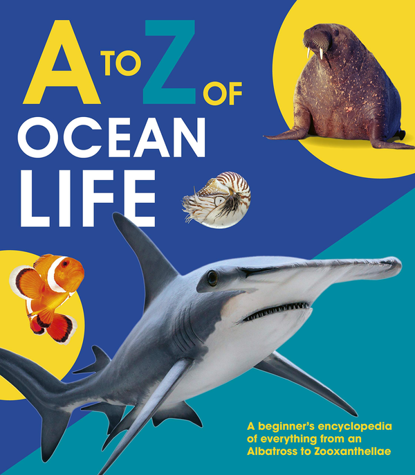 Бумажная книга «A to Z of Ocean Life» - фото №1