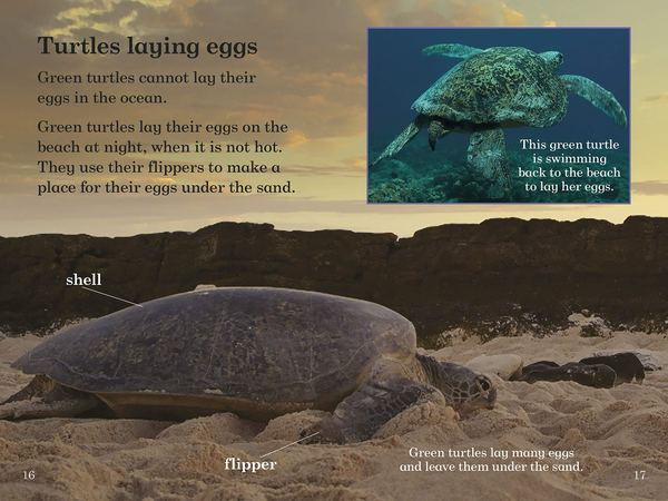 Бумажная книга «BBC Earth: Where Animals Live - Ladybird Readers Level 3» - фото №1