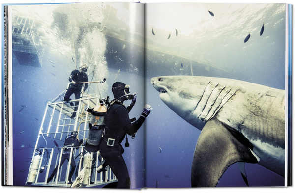 Паперова книга «Michael Muller. Sharks, Face-to-Face with the Ocean's Endangered Predator » - фото №1