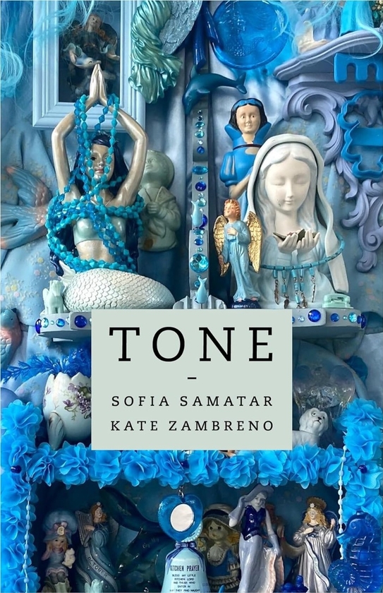 Паперова книга «Tone», авторів Софія Саматар, Кейт Замбрено - фото №1