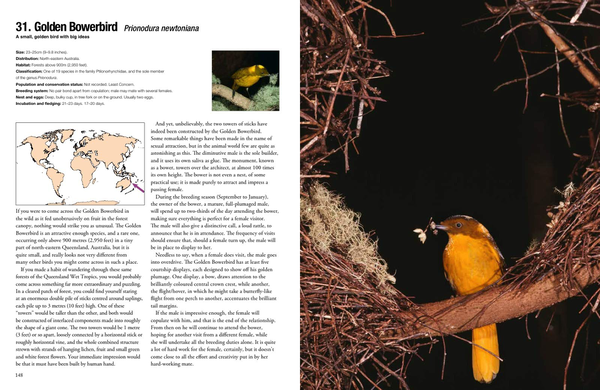 Бумажная книга «100 Birds to See in Your Lifetime: The Ultimate Wish-list for Birders Everywhere», автор Дэвид Чандлер - фото №1
