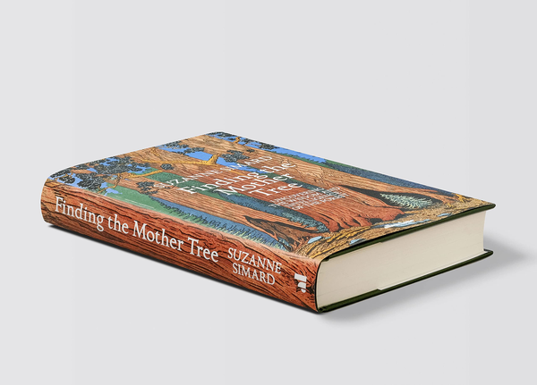 Бумажная книга «Finding the Mother Tree », автор Сюзанна Симард - фото №1