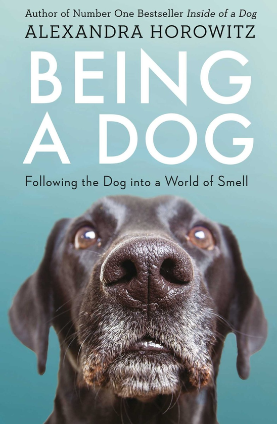 Бумажная книга «Being a Dog. Following the Dog into a World of Smell», автор Александра Горовиц - фото №1