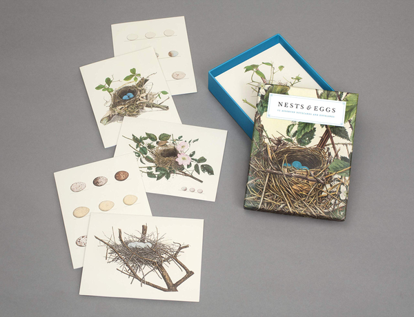 Паперова книга «Nests and Eggs Notecards» - фото №1