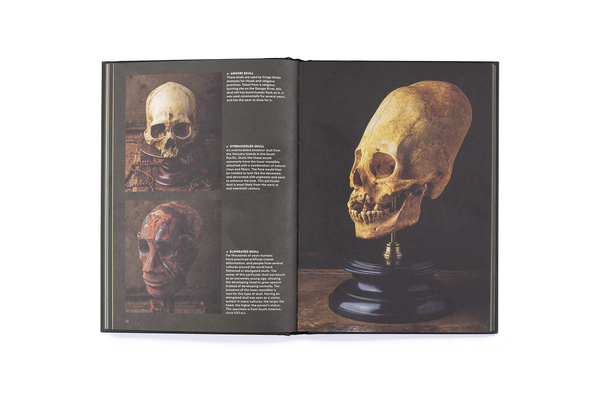 Бумажная книга «Skulls», автор Пол Гамбино - фото №1