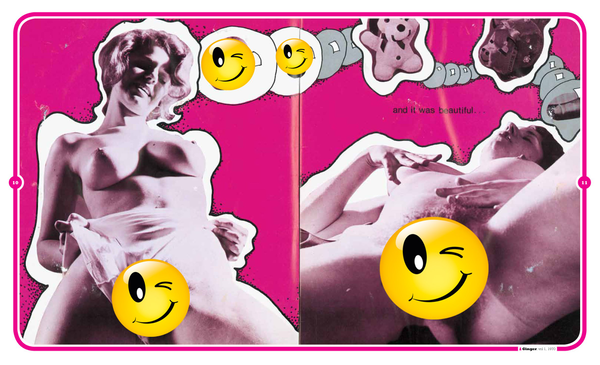 Бумажная книга « Psychedelic Sex Book», авторов Дайан Хэнсон, Пол Краcснер - фото №1