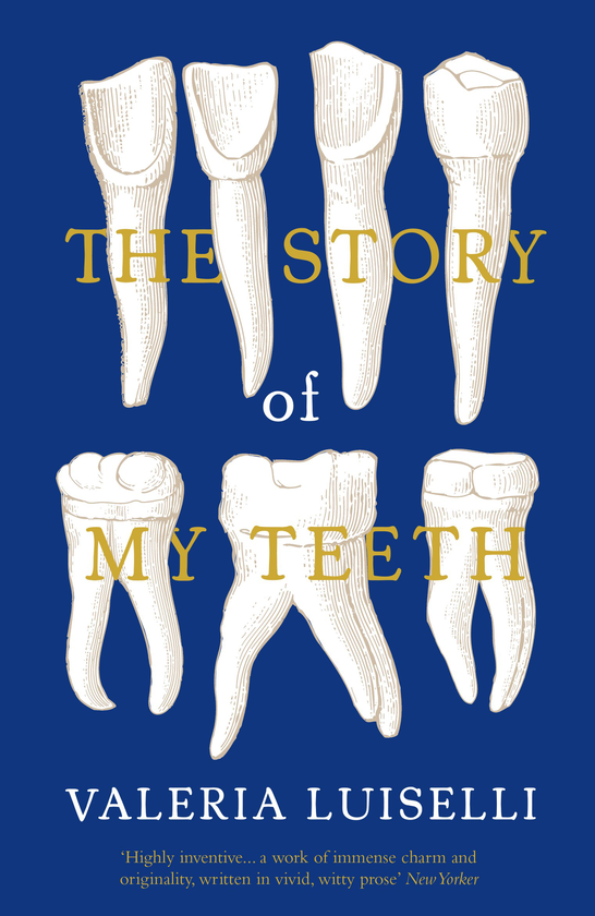 Бумажная книга «The Story of My Teeth », автор Валерия Луизелли - фото №1