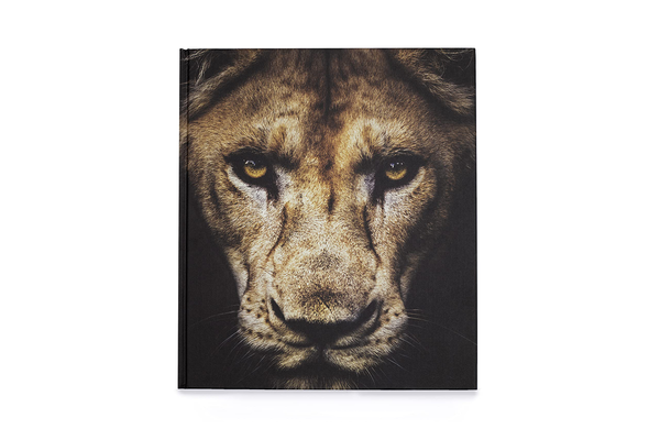 Бумажная книга «Into the Wild. The Story of the World's Greatest Wildlife Photography», автор Джемма Пэдли - фото №1