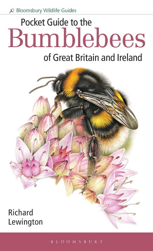Бумажная книга «Pocket Guide to the Bumblebees of Great Britain and Ireland», автор Ричард Льюингтон - фото №1