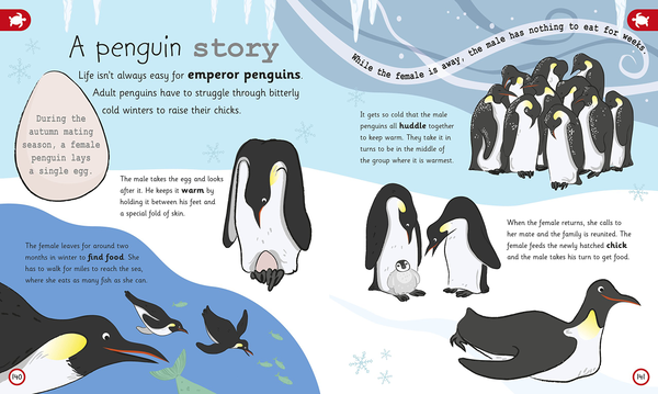 Бумажная книга «My Encyclopedia of Very Important Animals» - фото №1