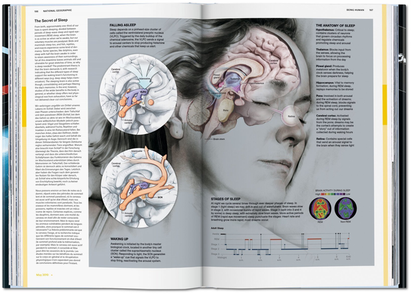 Паперова книга «National Geographic Infographics» - фото №1