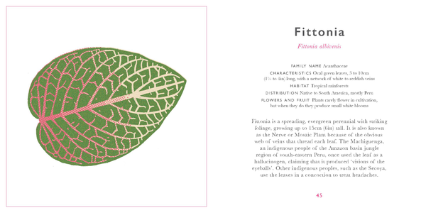 Бумажная книга «The Little Guide to Leaves» - фото №1