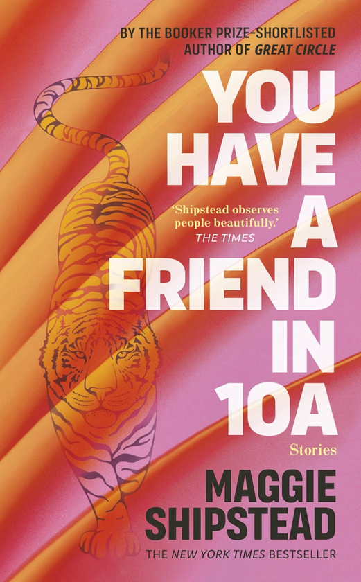 Паперова книга «You have a friend in 10A», автор Меггі Шипстед - фото №1