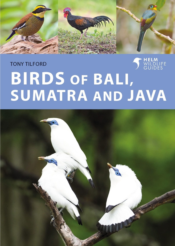 Бумажная книга «Birds of Bali, Sumatra and Java. A Photographic Guide», автор Тони Тилфорд - фото №1