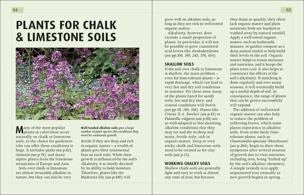 [object Object] «RHS Plants for Places. 1,000 Expert Choices for Every Part of the Garden» - фото №3 - мініатюра