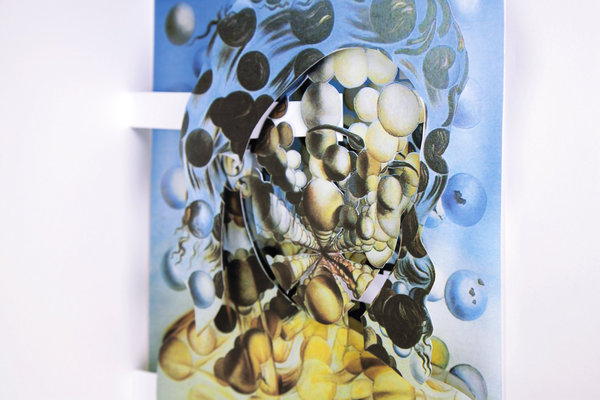 Бумажная книга «Dalí Pop-Ups», автор Кортни Уотсон МакКарти - фото №1
