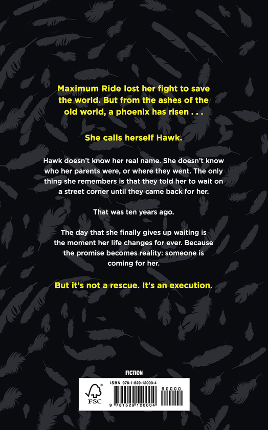Бумажная книга «Hawk. A Maximum Ride Novel. Book 1», автор Джеймс Паттерсон - фото №1