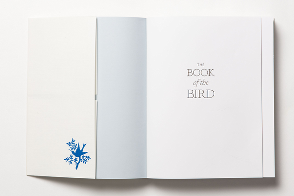 Бумажная книга «The Book of the Bird», авторов Кендра Уилсон, Ангус Хайленд - фото №1