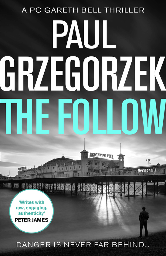 Бумажная книга «The Follow», автор Пол Гжегожек - фото №1
