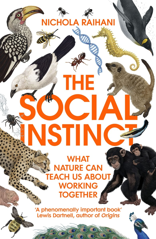 Бумажная книга «The Social Instinct», автор Никола Райхани - фото №1