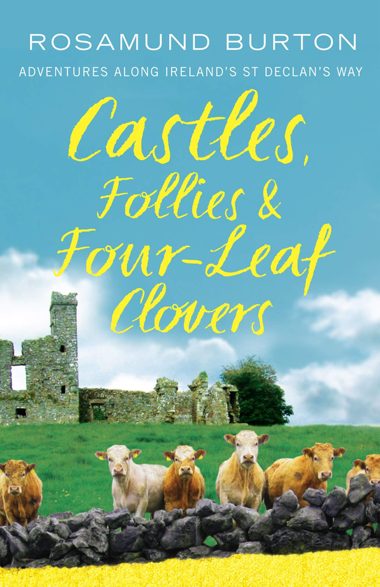 Бумажная книга «Castles, Follies and Four-Leaf Clovers», автор Розамунд Бертон - фото №1
