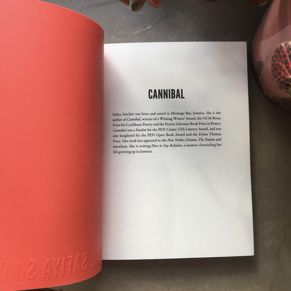 Бумажная книга «Cannibal», автор Сафия Синклер - фото №1