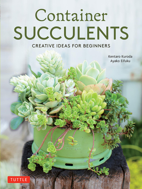 Паперова книга «Container Succulents. Creative Ideas for Beginners», авторів Кентаро Курода, Аяко Ейфуку - фото №1
