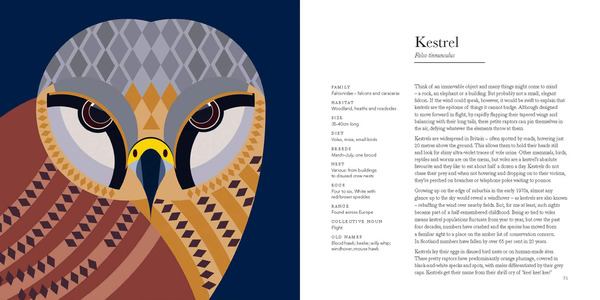 Паперова книга «I Like Birds: A Guide to Britain's Avian Wildlife », автор Стюарт Кокс - фото №1