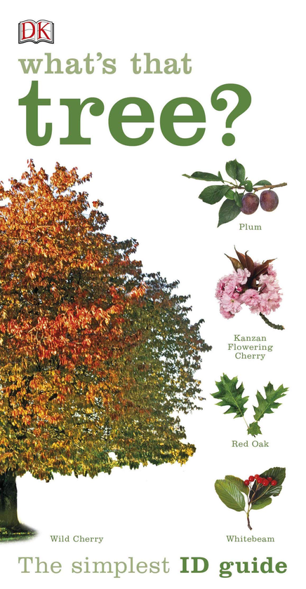 Паперова книга «What's that Tree?» - фото №1