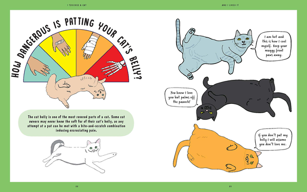 Паперова книга «I Touched a Cat and I Liked it», автор Анна Бландфорд - фото №1