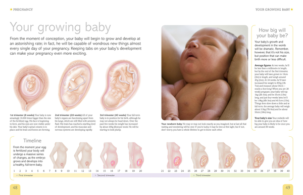 Бумажная книга «Pregnancy and Birth Everything You Need to Know. Your Developing Baby, Antenatal Care, and Childbirth Choices», автор Мэри Стин - фото №1