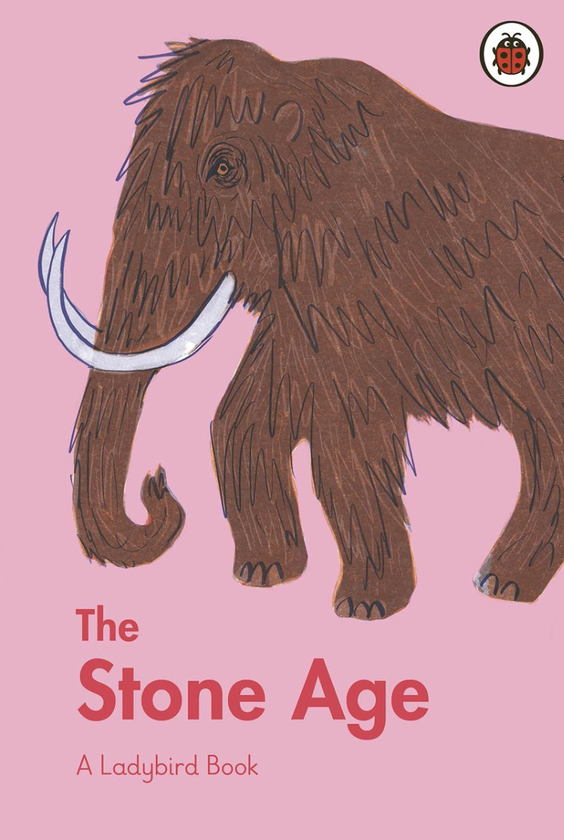 Паперова книга «A Ladybird Book. The Stone Age», автор Сідра Ансарі - фото №1