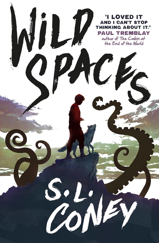 Бумажная книга «Wild Spaces», автор С. Л. Кони - фото №1