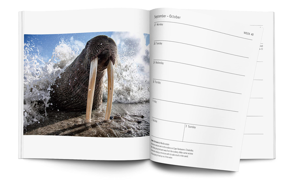 Бумажная книга «Wildlife Photographer of the Year Pocket Diary 2022» - фото №1