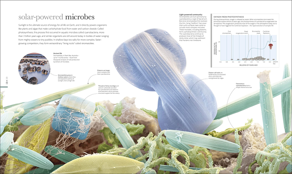 Бумажная книга «Micro Life» - фото №1
