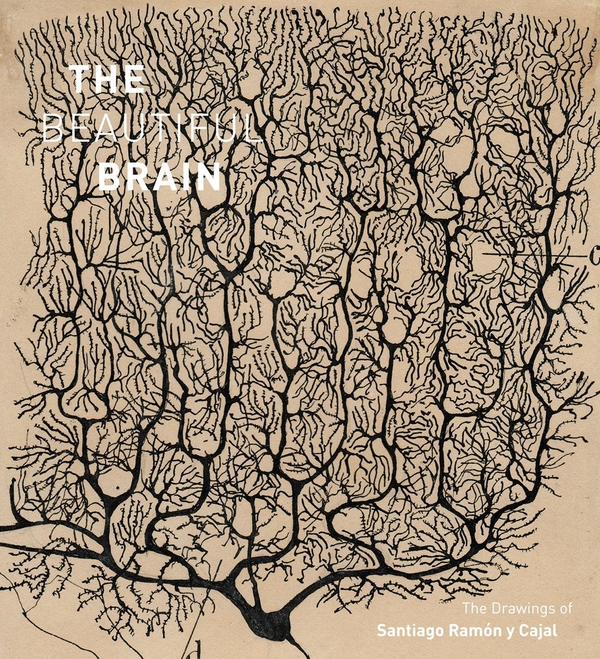 Паперова книга «The Beautiful Brain: The Drawings of Santiago Ramon y Cajal», авторів Альфонсо Араке, Ерік Ньюман, Ларрі Свенсон - фото №1