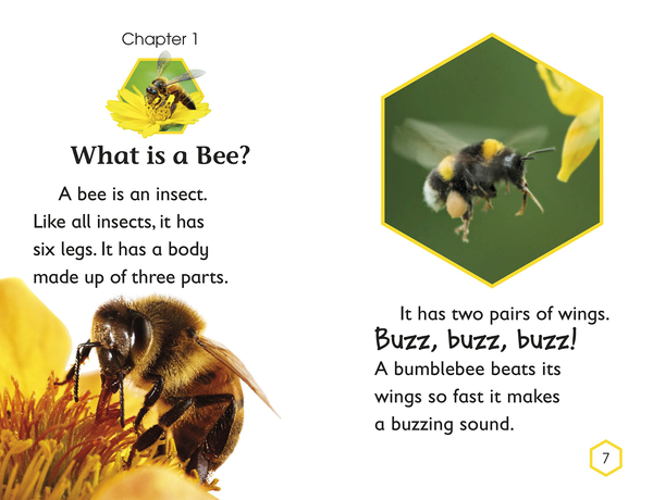 Бумажная книга «Amazing Bees. Buzzing with Bee Facts! » - фото №1