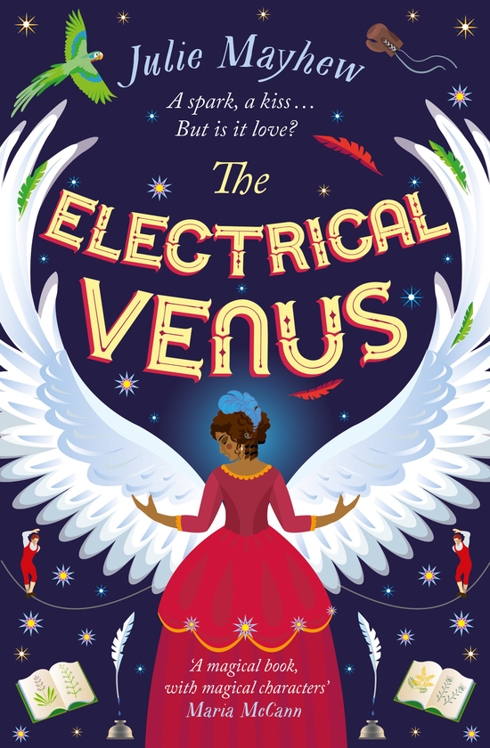Бумажная книга «The Electrical Venus», автор Джули Мэйхью - фото №1