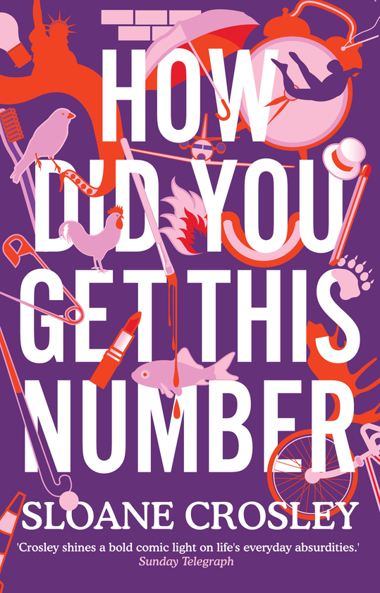 Бумажная книга «How Did You Get This Number», автор Слоан Кросли - фото №1