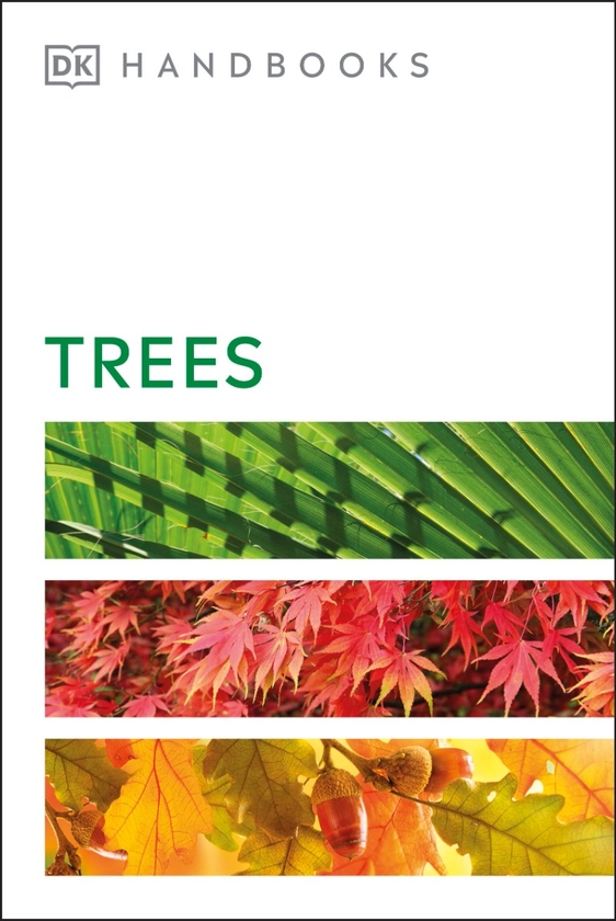 Паперова книга «Trees», автор Аллен Кумбс - фото №1