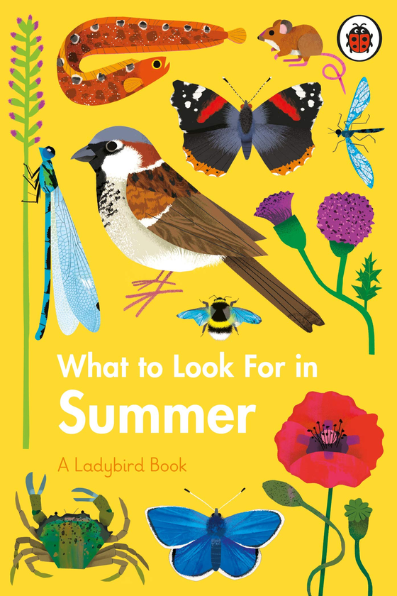 Паперова книга «What To Look For In Summer», автор Елізабет Дженнер - фото №1