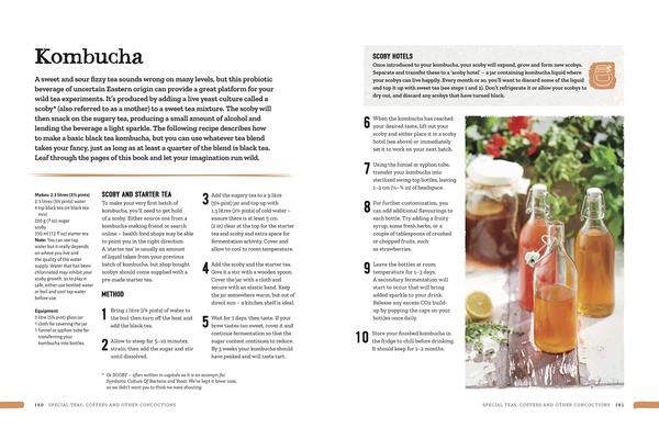 Паперова книга «Wild Tea. Brew Your Own Teas and Infusions from Home-Grown and Foraged Ingredients», авторів Нік Мойл, Річард Худ - фото №1