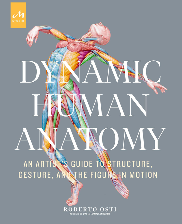 Бумажная книга «Dynamic Human Anatomy », автор Роберто Ости - фото №1