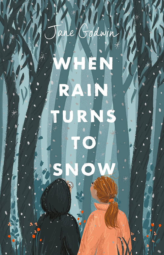 Паперова книга «When Rain Turns to Snow», автор Джейн Годвін - фото №1