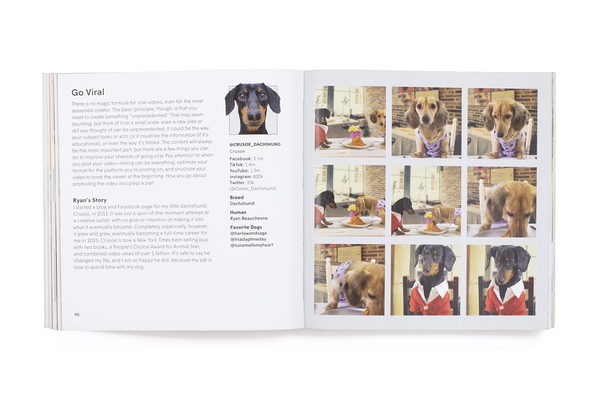 Бумажная книга «How To Make Your Dog #Famous. A Guide to Social Media and Beyond», автор Лони Эдвардс - фото №1