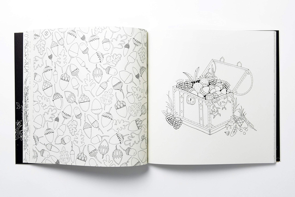 Бумажная книга «Enchanted Forest. An Inky Quest and Colouring Book», автор Джоанна Басфорд - фото №1
