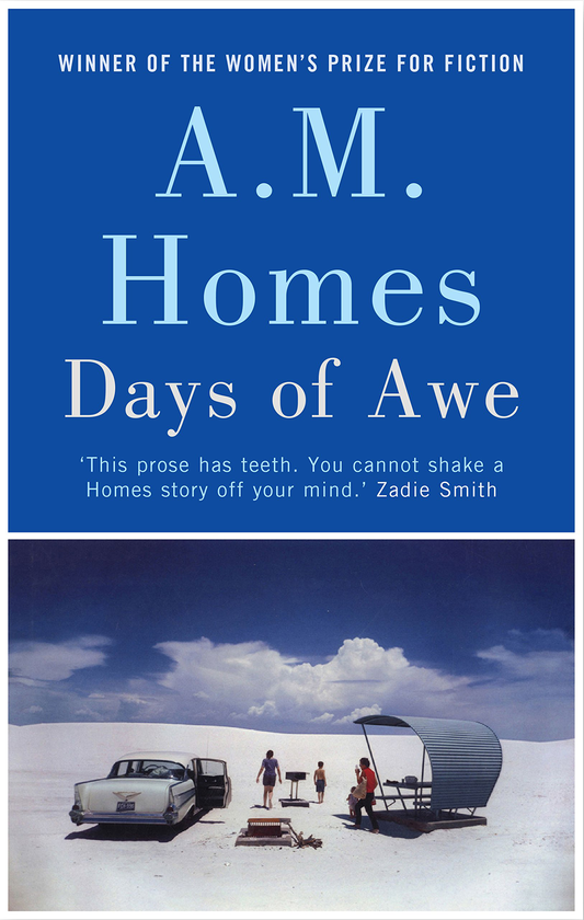 Бумажная книга «Days of Awe», автор Эми М. Хоумс - фото №1