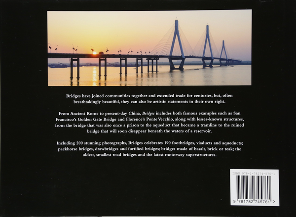 Паперова книга «Bridges», автор Девід Росс - фото №1