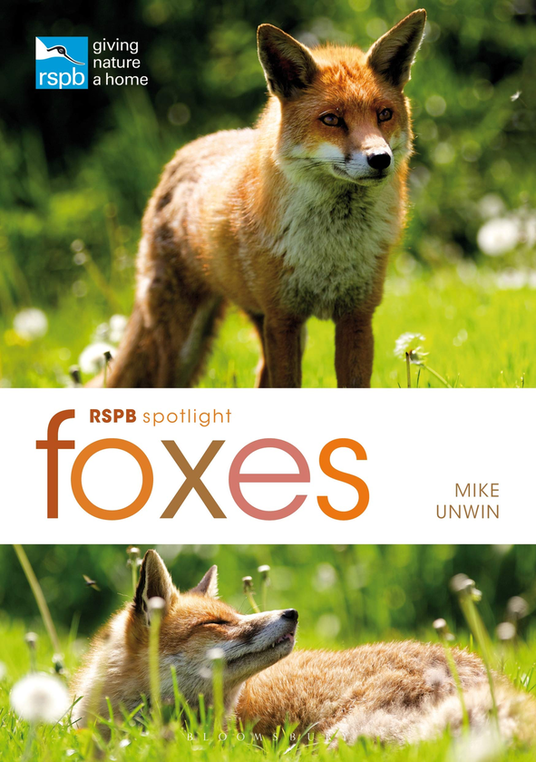 Паперова книга «RSPB Spotlight. Foxes», автор Майк Анвін - фото №1