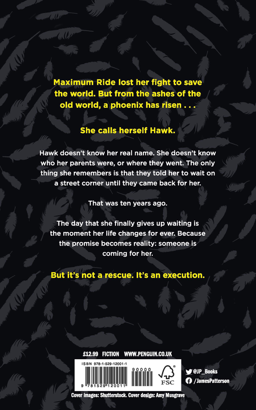 Бумажная книга «Hawk. A Maximum Ride Novel. Book 1», автор Джеймс Паттерсон - фото №1